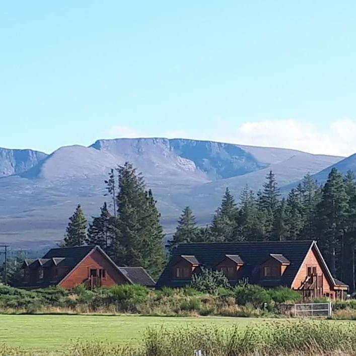 Badaguish Forest Lodges And Camping Pods Aviemore Kültér fotó