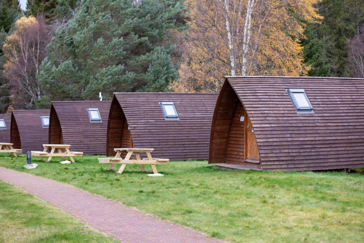 Badaguish Forest Lodges And Camping Pods Aviemore Kültér fotó