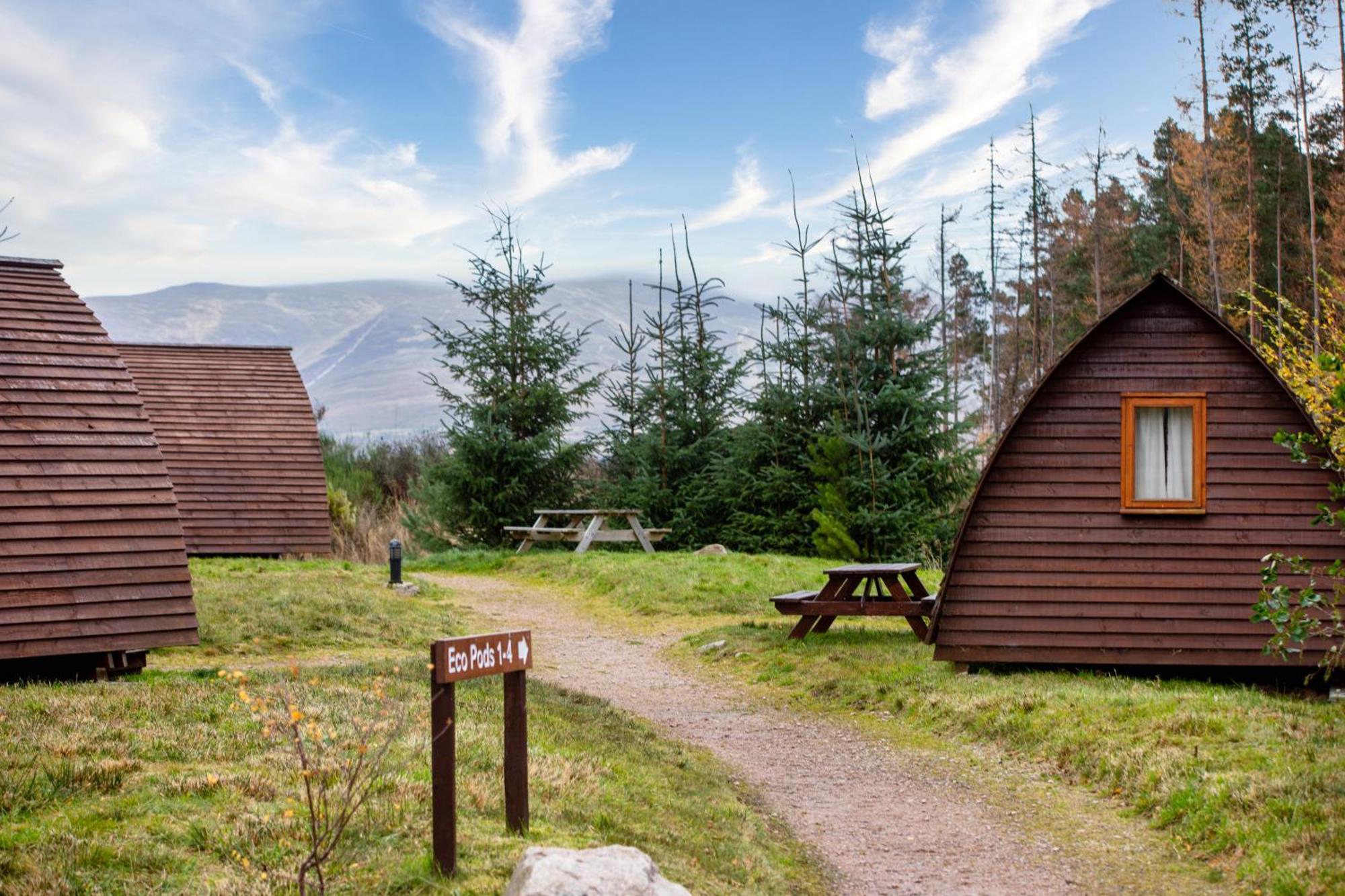 Badaguish Forest Lodges And Camping Pods Aviemore Kültér fotó