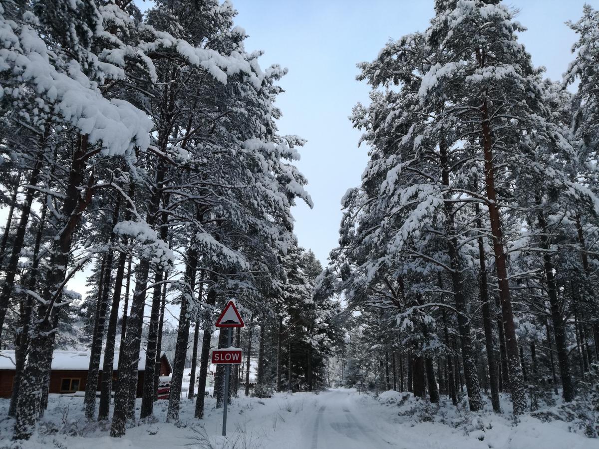 Badaguish Forest Lodges And Camping Pods Aviemore Kültér fotó